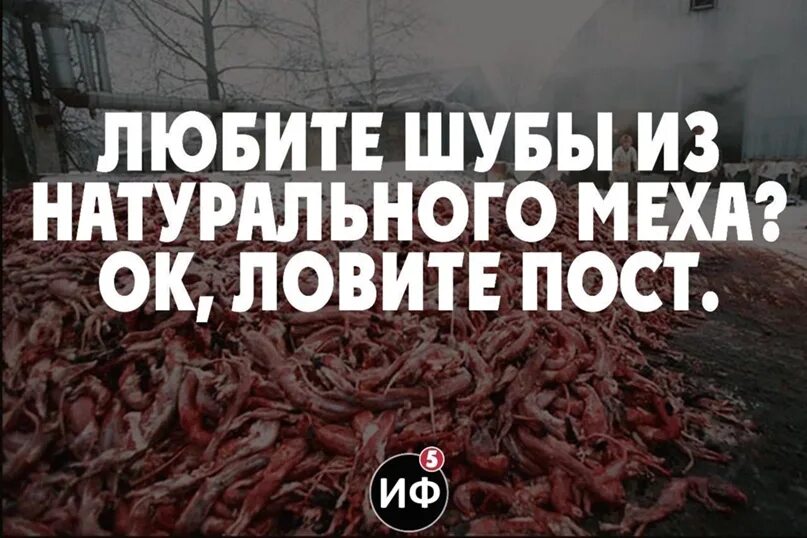Не носите мех. Против шуб из натурального меха.