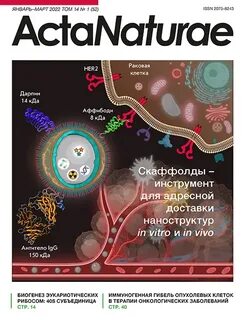 Акта натура