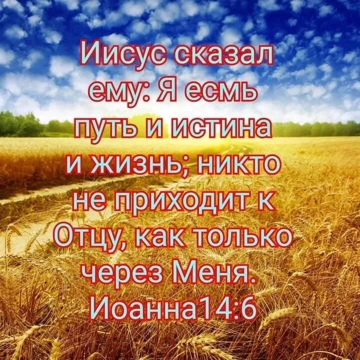 Я есмь истина и жизнь. Я есмь путь и истина и жизнь. Путь, истина и жизнь. Я есмь путь и истина и жизнь Библия. Я есмь путь истина и жизнь лого.