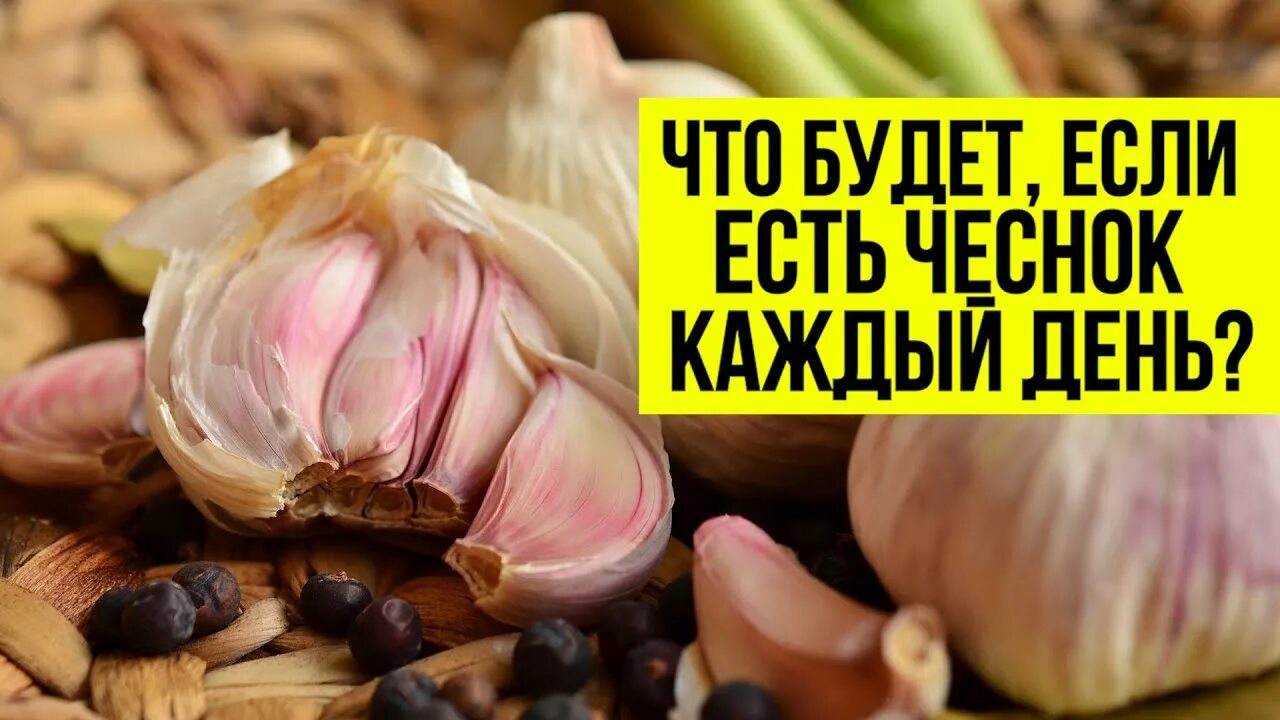 Чеснок каждый день. Ешьте чеснок каждый день. Если есть чеснок каждый. Если каждый день есть чеснок.