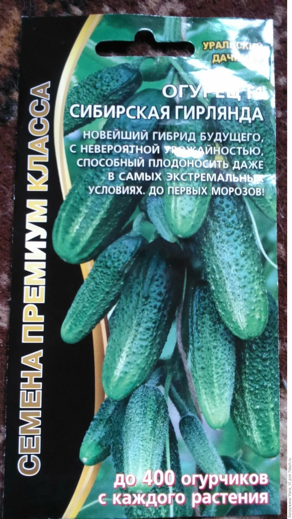 Семена огурцы Сибирская Гирлянда Уральский Дачник 67628720 купить за 179 ₽ в инт