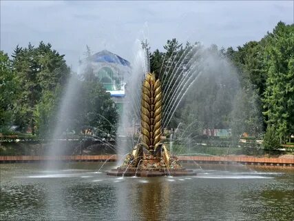 Золотой колос москва вднх