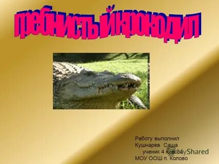 Сообщение о гребнистом крокодиле 4 класс