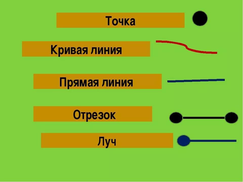 Где эти 3 линии. Прямая линия Луч отрезок 1 класс. Точка кривая линия прямая отрезок Луч 1 класс. Прямые линии кривые лучи отрезки. Точка кривая линия прямая линия отрезок Луч.