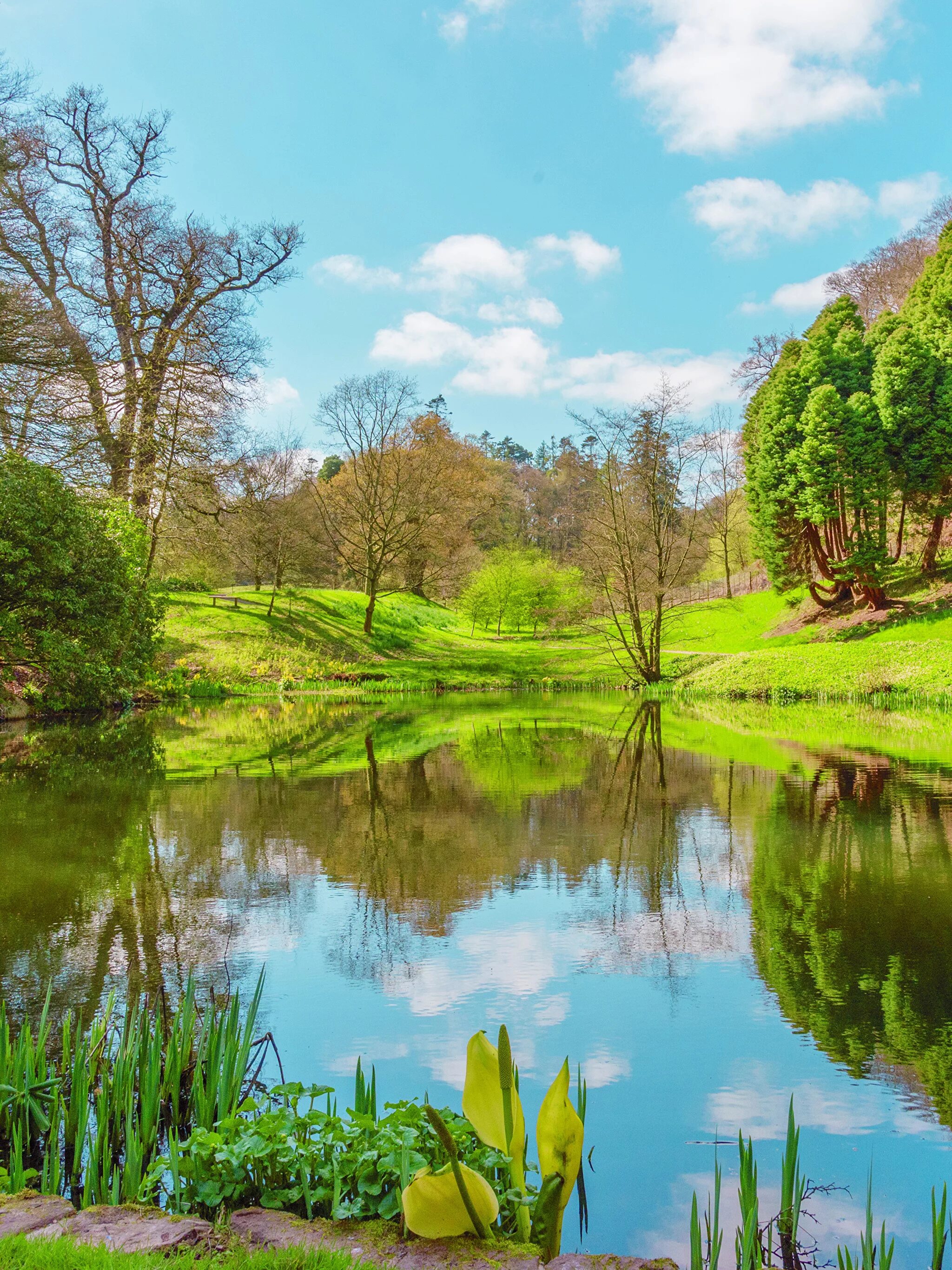 весенний сад (spring topiary garden). пейзажи природы лето. картинки весны красивые природа на телефон. акация сакура. гималаи.