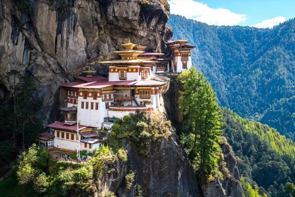 Бутана больше