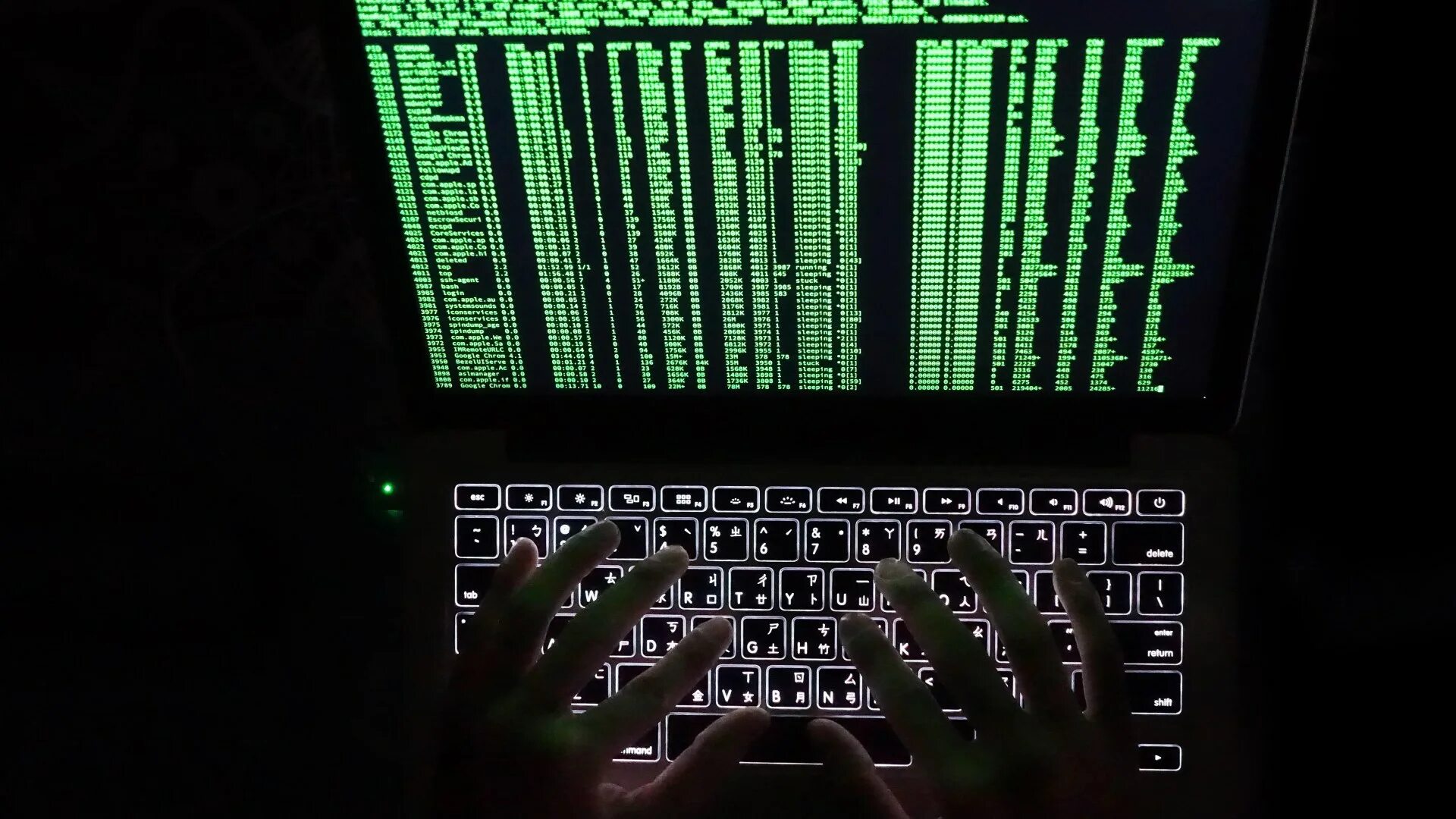 Zip hacker
