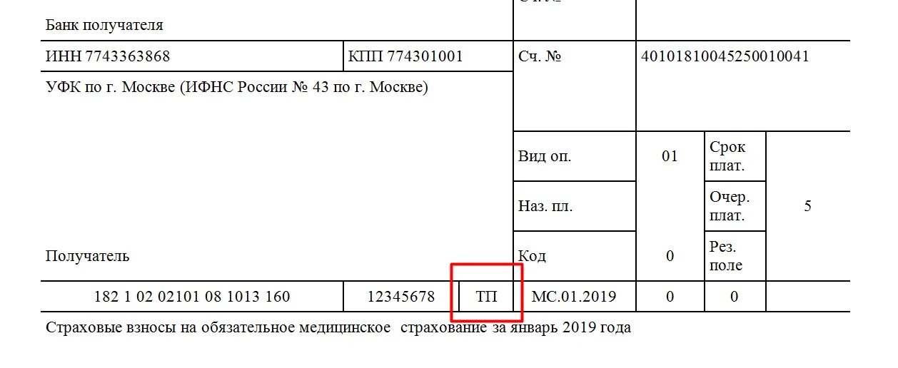 Платежки на страховые взносы в 2021 году. Платежное поручение на перечисление страховых взносов в ФСС. Пени ФСС платежное поручение образец. Страховые взносы на ОПС платежное поручение. Пени фсс нс