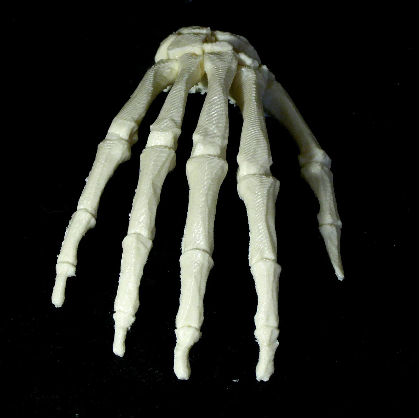 Скелет руки. Скелет кисти. Кисть руки скелет. Костяная рука. Hand bone