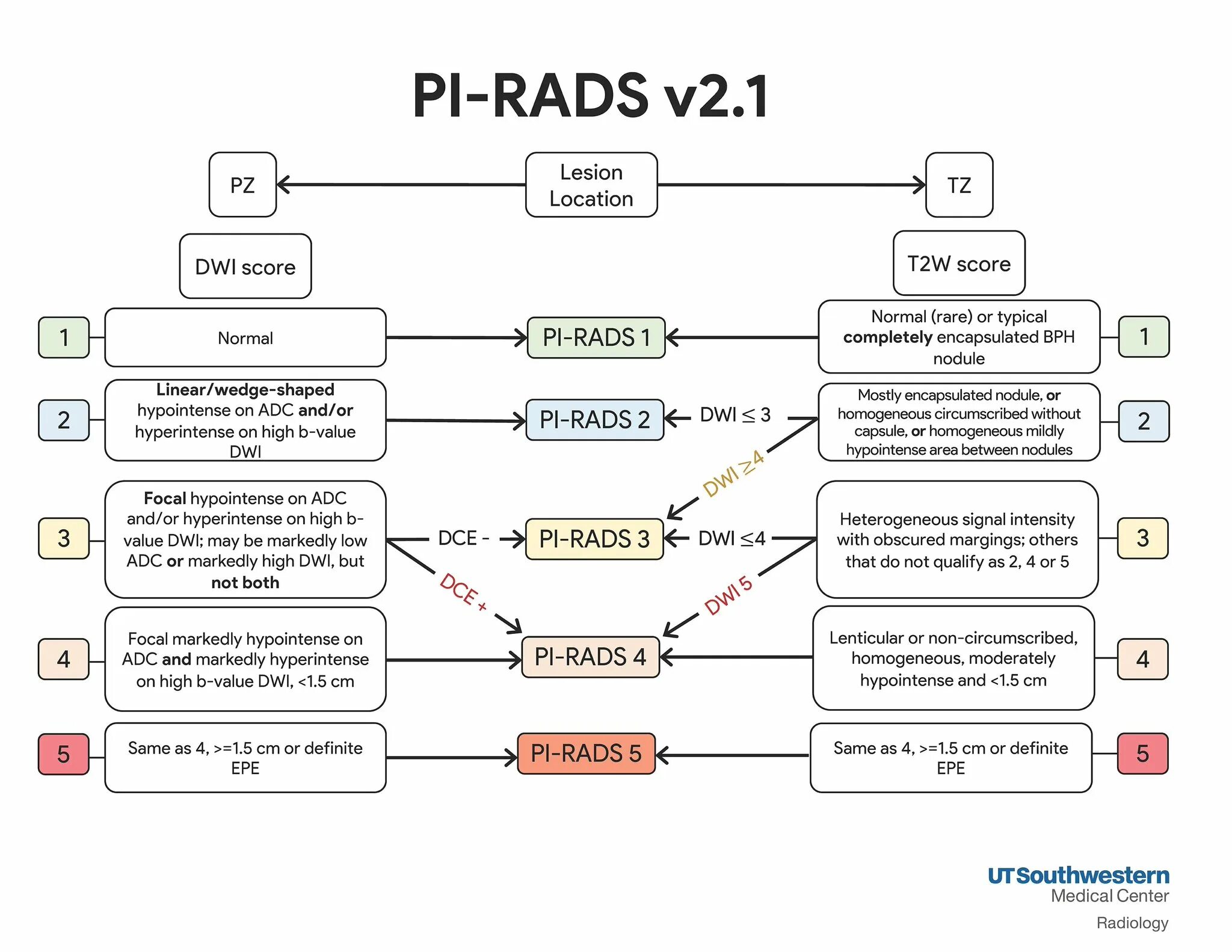 Ti rads что это значит. Pi-rads v2.1. Pi rads 2.1. Pi-rads 2.1 5 категория. Pi-rads классификация.