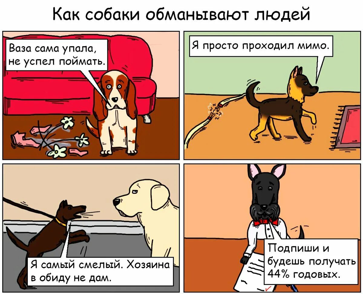 Комиксы про собак. Анекдоты про щенков. Анекдоты про собак в картинках. Интересные шутки про собак. Обманутая собака