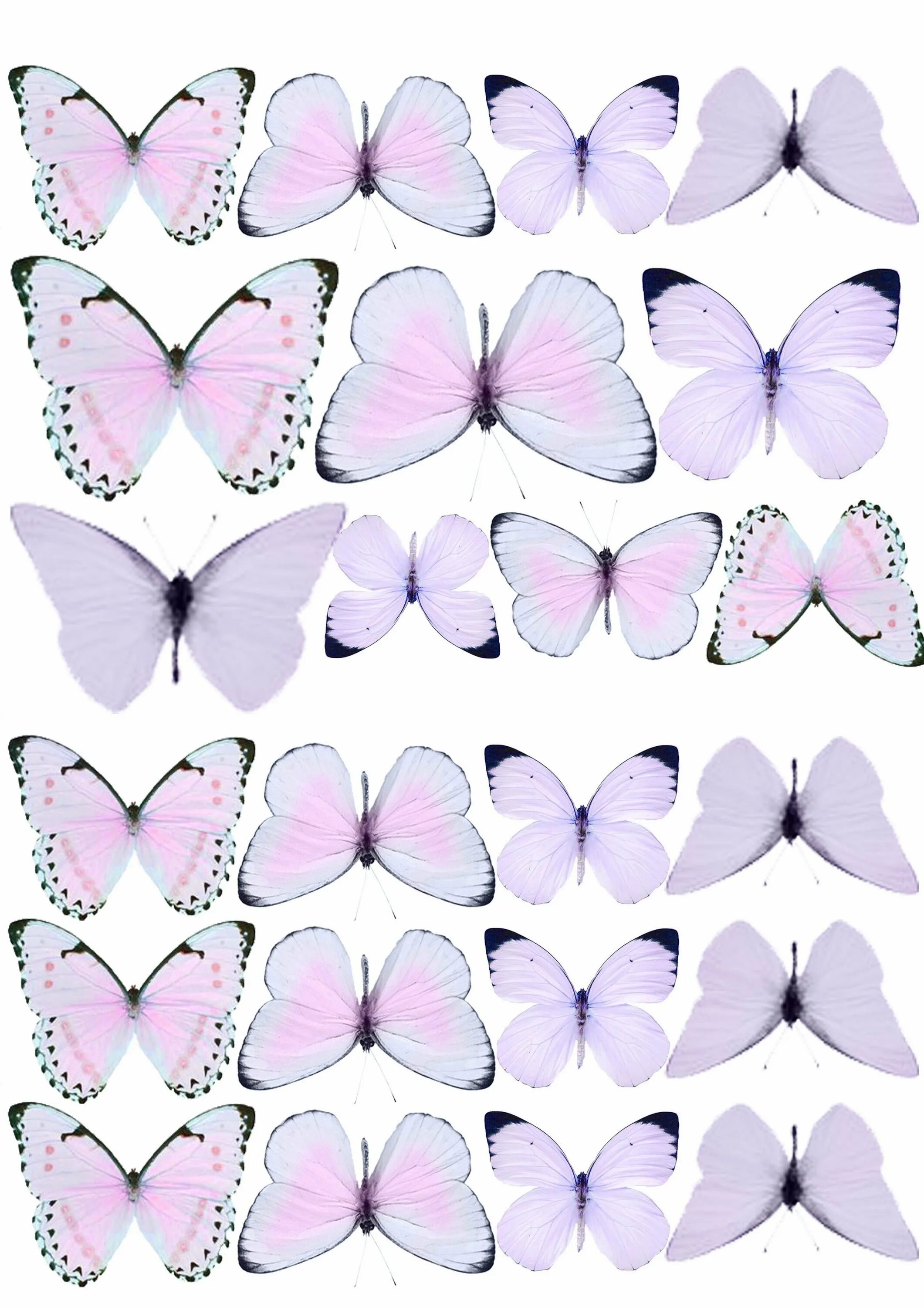 Торт «бабочки». Розовые бабочки. Вафельные бабочки сиреневые. Бабочки сиреневые для печати. Бабочки для торта картинки для печати