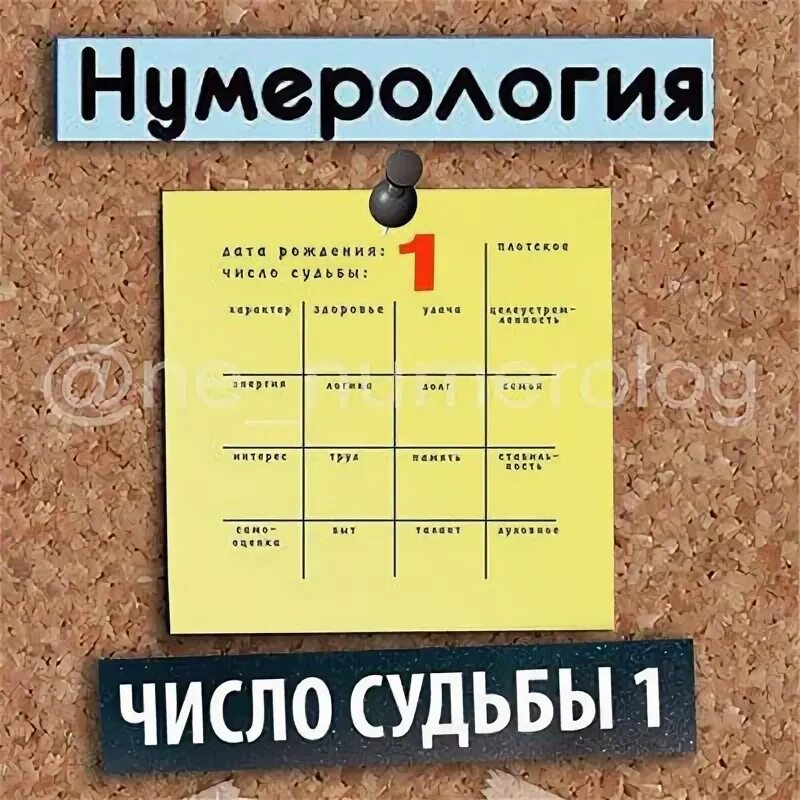 Число судьбы 8 мужчина. Число судьбы 1. число судьбы 1 женщина. судьба 7 нумерология. число судьбы 1 женщина нумерология.