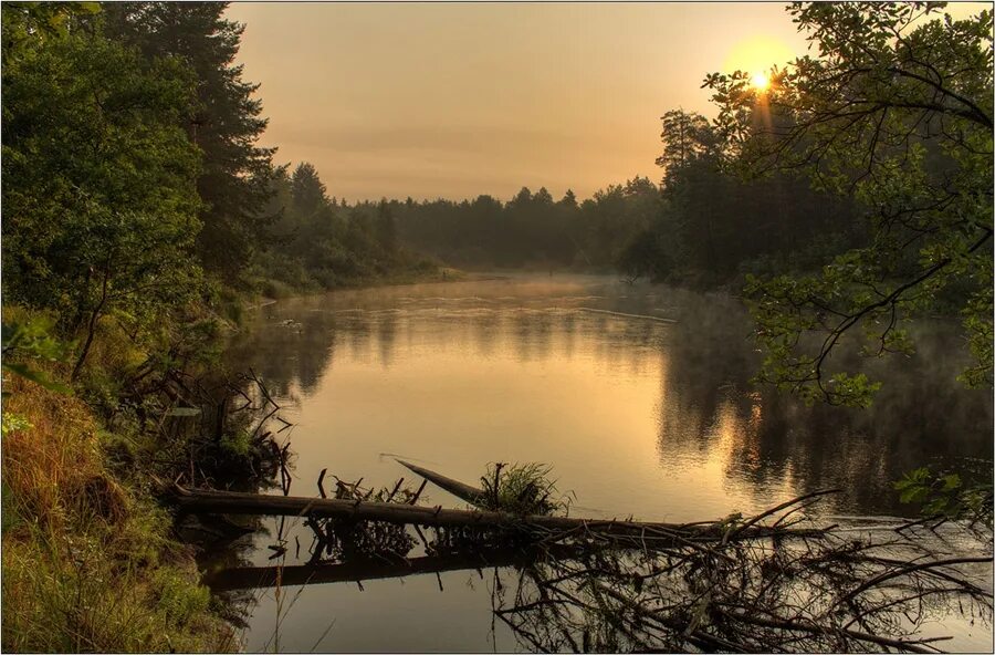 Марево новгородская область озеро песчаное. Марево новгородская область. Зыбкое марево. Вечернее марево. Знойное марево.
