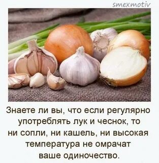 Можно ли давать лук