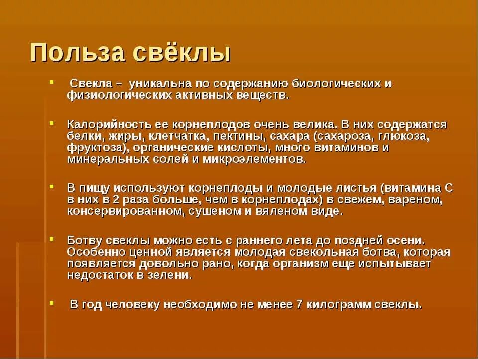 Польза свеклы для здоровья