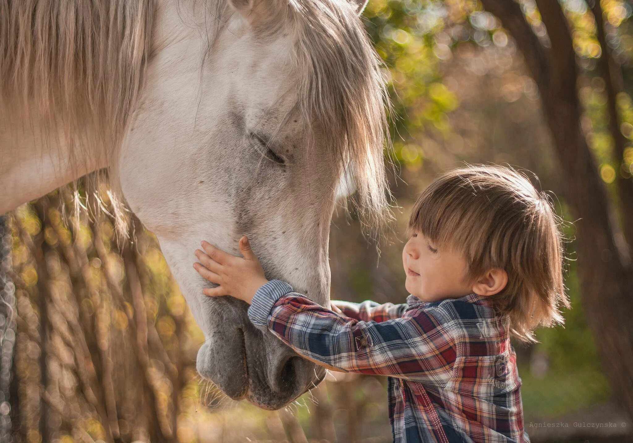 Horse kids. Лошадь для детей. Детская фотосессия с лошадкой. Мальчик на лошади. Фотосессия с лошадьми дети.