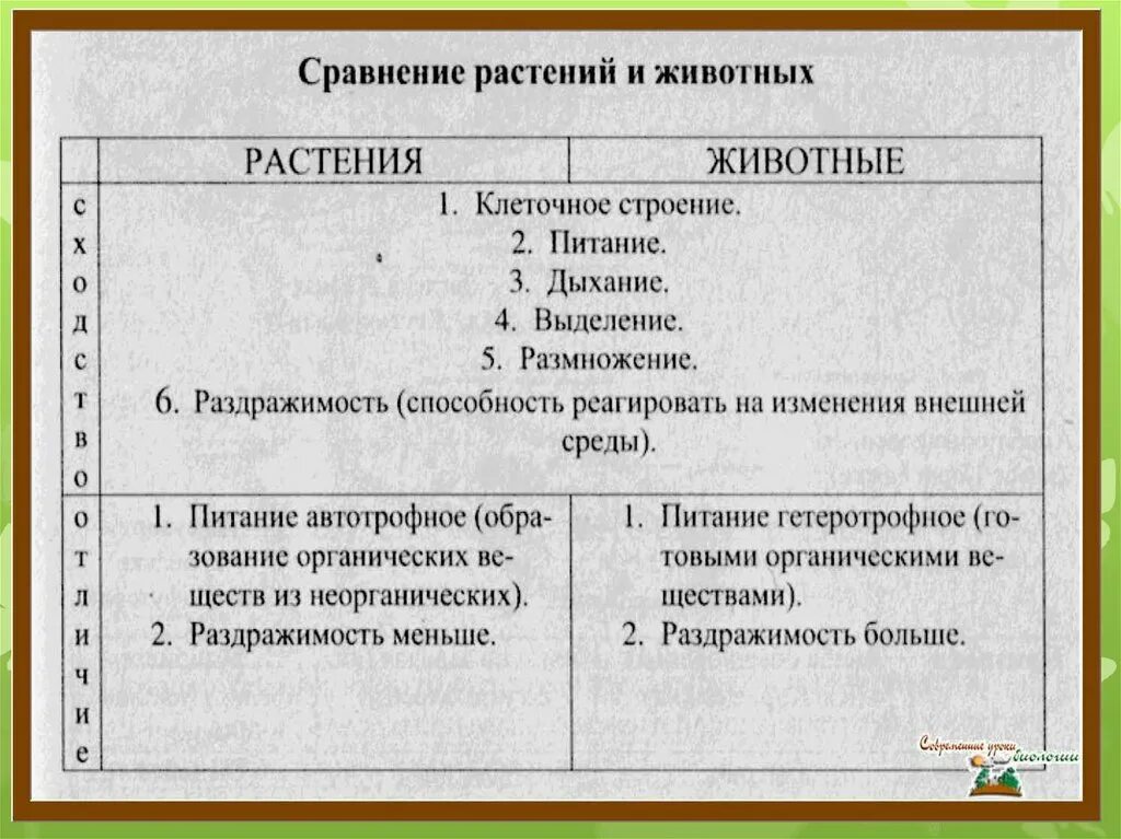 Сходства и различия животных и растений. Сходство растений и животных. Сдохство растений и животных. Сходства и различия животных.