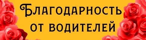 Отблагодарила водителя