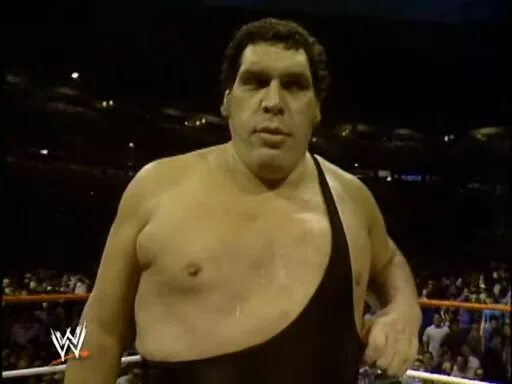 Andre the giant. Рене гигант. Хасан Андре гигант. Андре Рене Русимов. Андре русимов