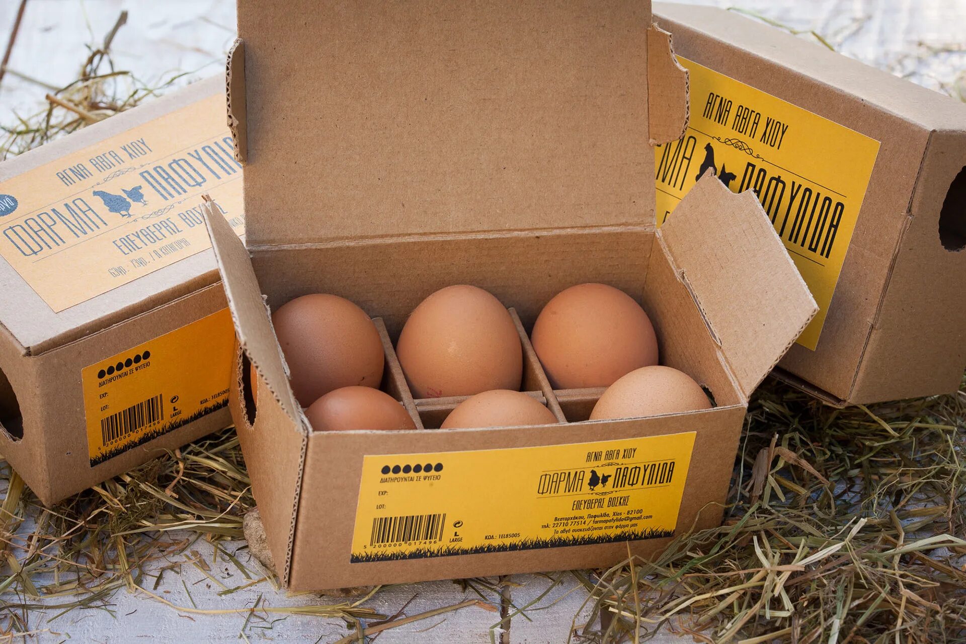 Яйцо куриное коробка. Яичная упаковка. Яйца куриные в упаковке. Коробка для яиц. Картонная коробка для яиц.