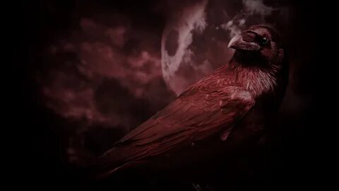 Crows steam