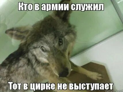 Все вокруг тупое поэтому я с тобою