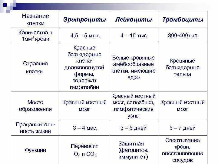 Лейкоциты в 1 мм3 крови