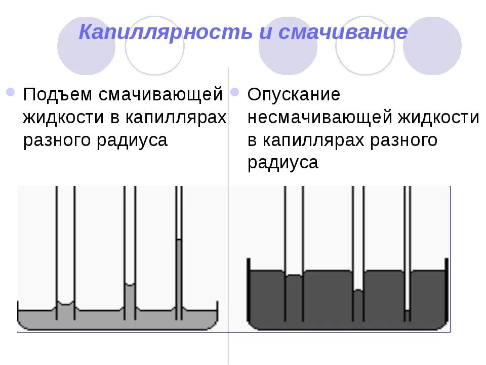 Жидкость капиллярное явление. Смачивание капиллярные явления. Капиллярные явления в физике. Смачивающая жидкость и несмачивающая в капиллярах. Смачивающая жидкость в капилляре.