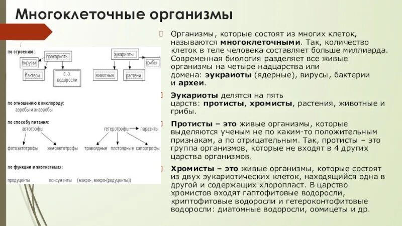 Почему органы в многоклеточном организме работают