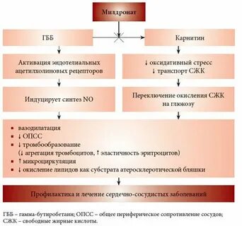 Милдронат действие