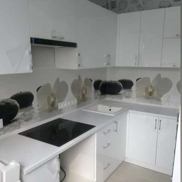 кухни премиум класса раум эксперт