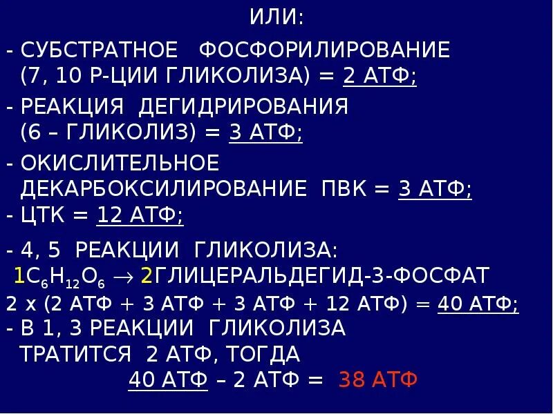 Сколько молекул образуется в результате гликолиза