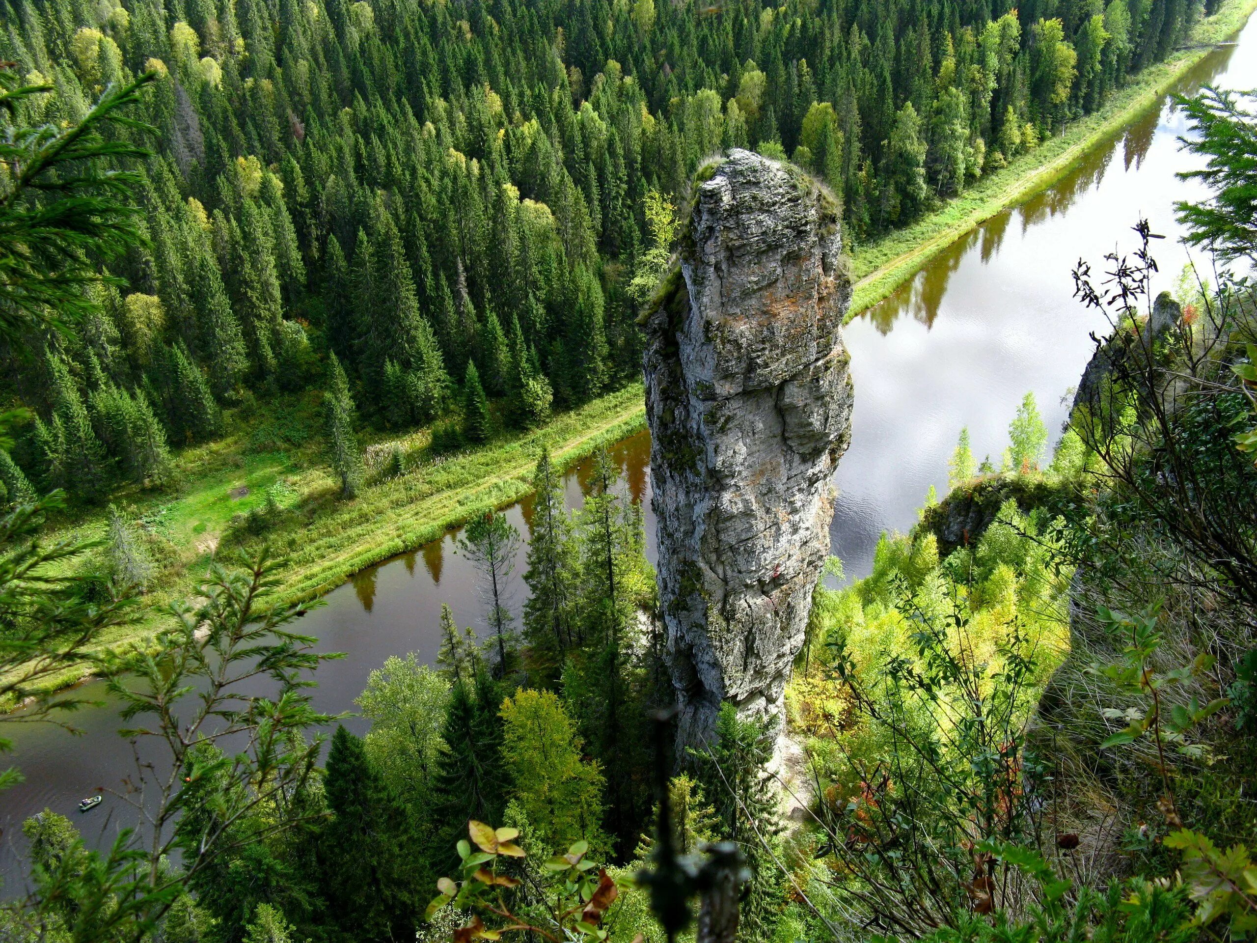 Чертов лес