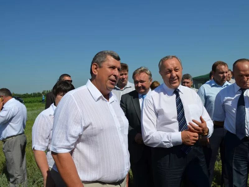 Погода саратовская область пугачевский район п чапаевский. СПК им Чапаева Петровского района. СПК им Панфилова Петровский район Саратовской области. Возрождение СПК Саратовская область. Совхоз Возрождение.