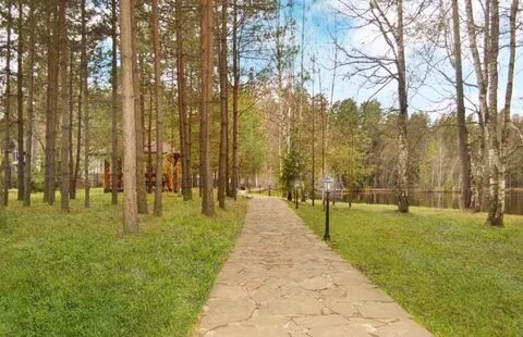 Купавна отзывы