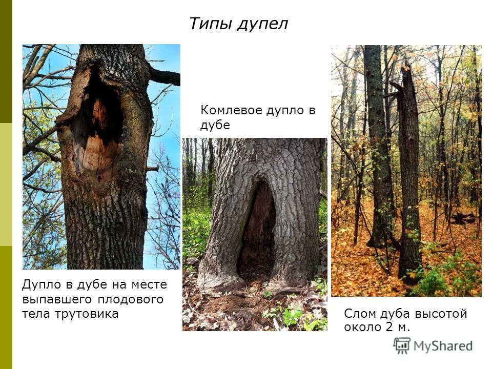 Какой предмет в случае опасности маше. Минная опасность для детей. Домашние опасности 2 класс. Опасные и безопасные предметы для детей в картинках. Действия при обнаружении взрывного устройства.