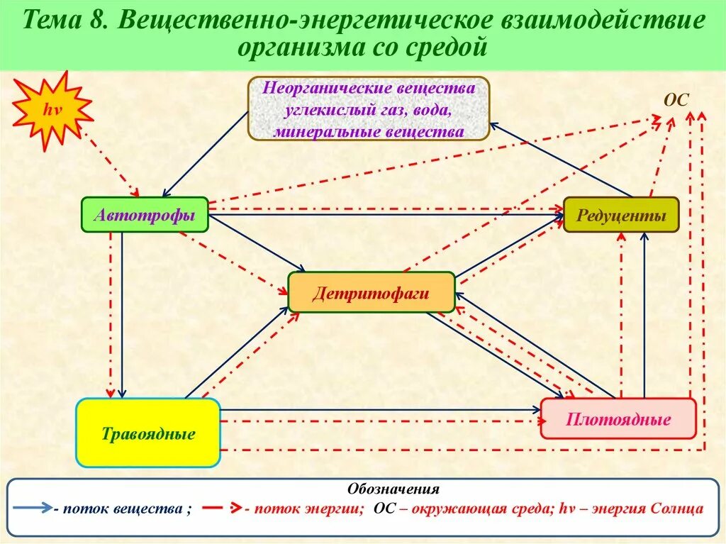 Взаимосвязи организмов и окружающей среды. Взаимодействие организма и среды. Взаимосвязь организма со средой схема. Взаимодействие организмов со средой обитания.