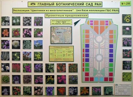 Ботаника карты