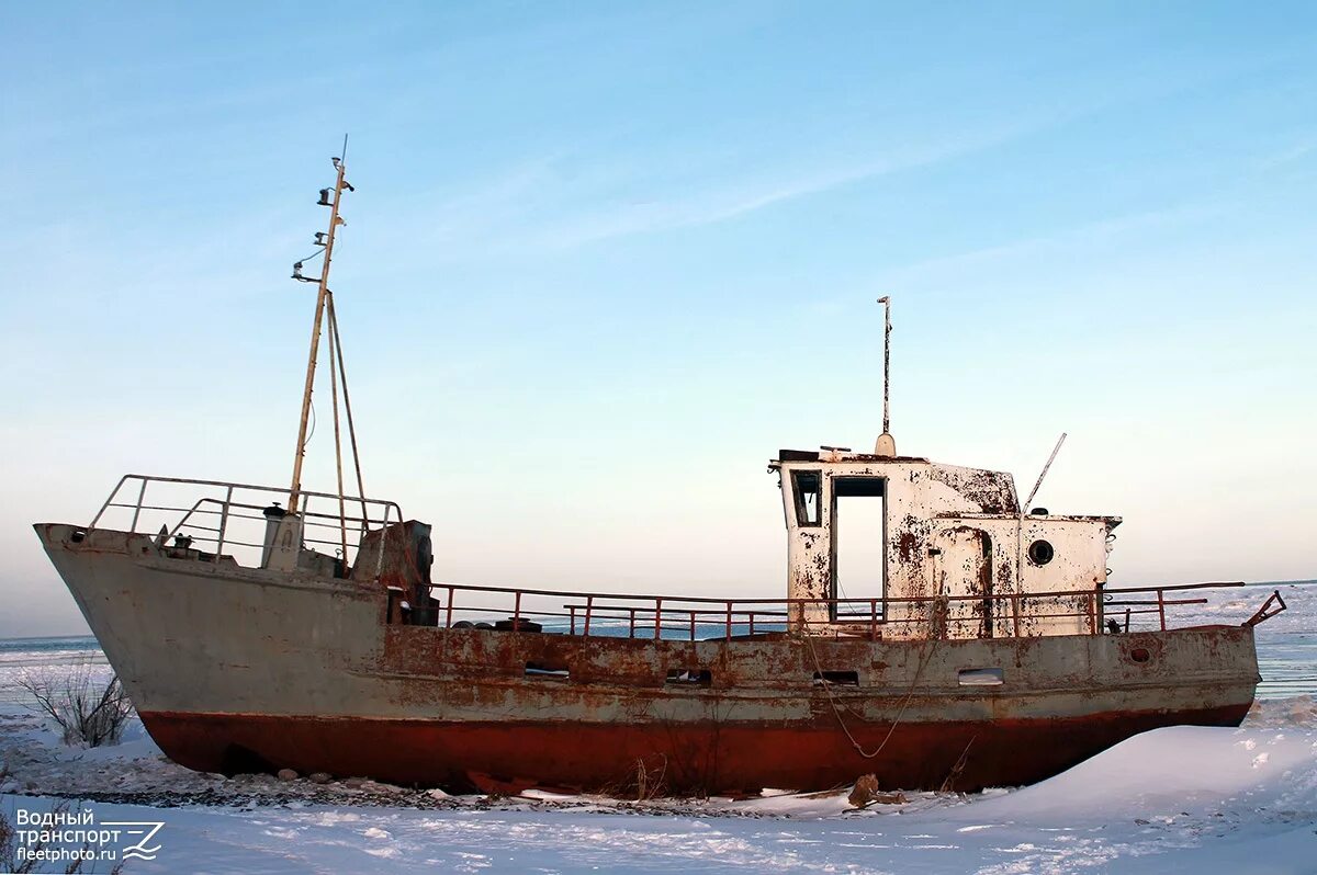 Катер ссп 82. Малый сетеподъемник мсп. Ссп проекта 211. Ссп 211. Мсп 111 катер.