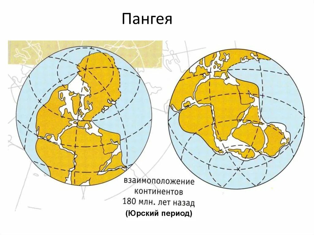 Единый материк в древности. Земля до раскола на материки. Пангея материк. Древние материки Пангея. Разделение на материки.