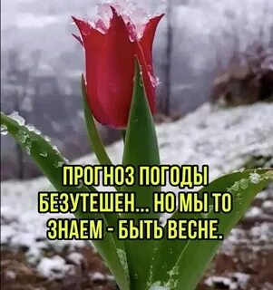 До весны 4 дня картинки с надписями