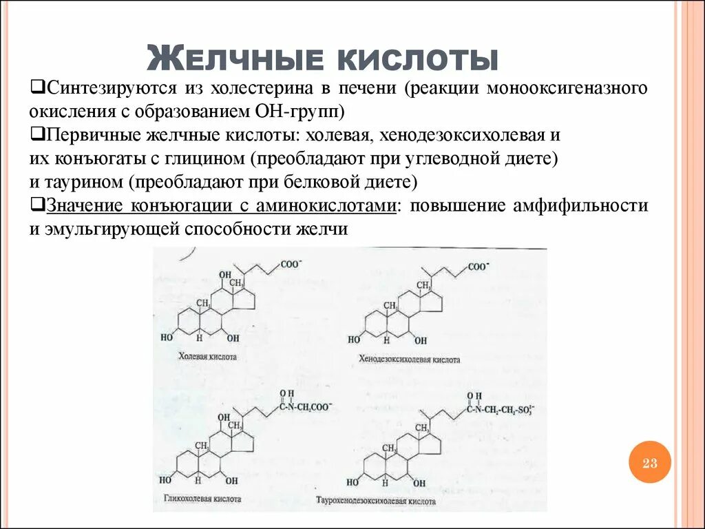 Липиды желчных кислот. Строение желчных кислот и их функции. Парные (конъюгированные) жёлчные кислоты. Характеристика желчных кислот. Структура и роль желчных кислот биохимия.