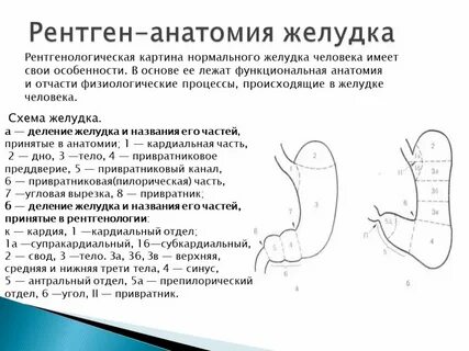 Функциональная недостаточность привратника