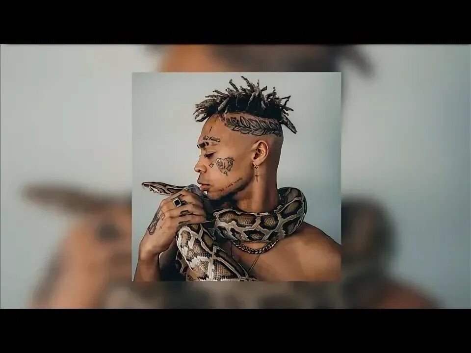 Сафари тортуга певец. Тортуга логотип. Джек воробей компас на клад ты знаешь конец я буду богат. Я воробей компас на клад ты знаешь конец буду богат. Тортуга сафари.