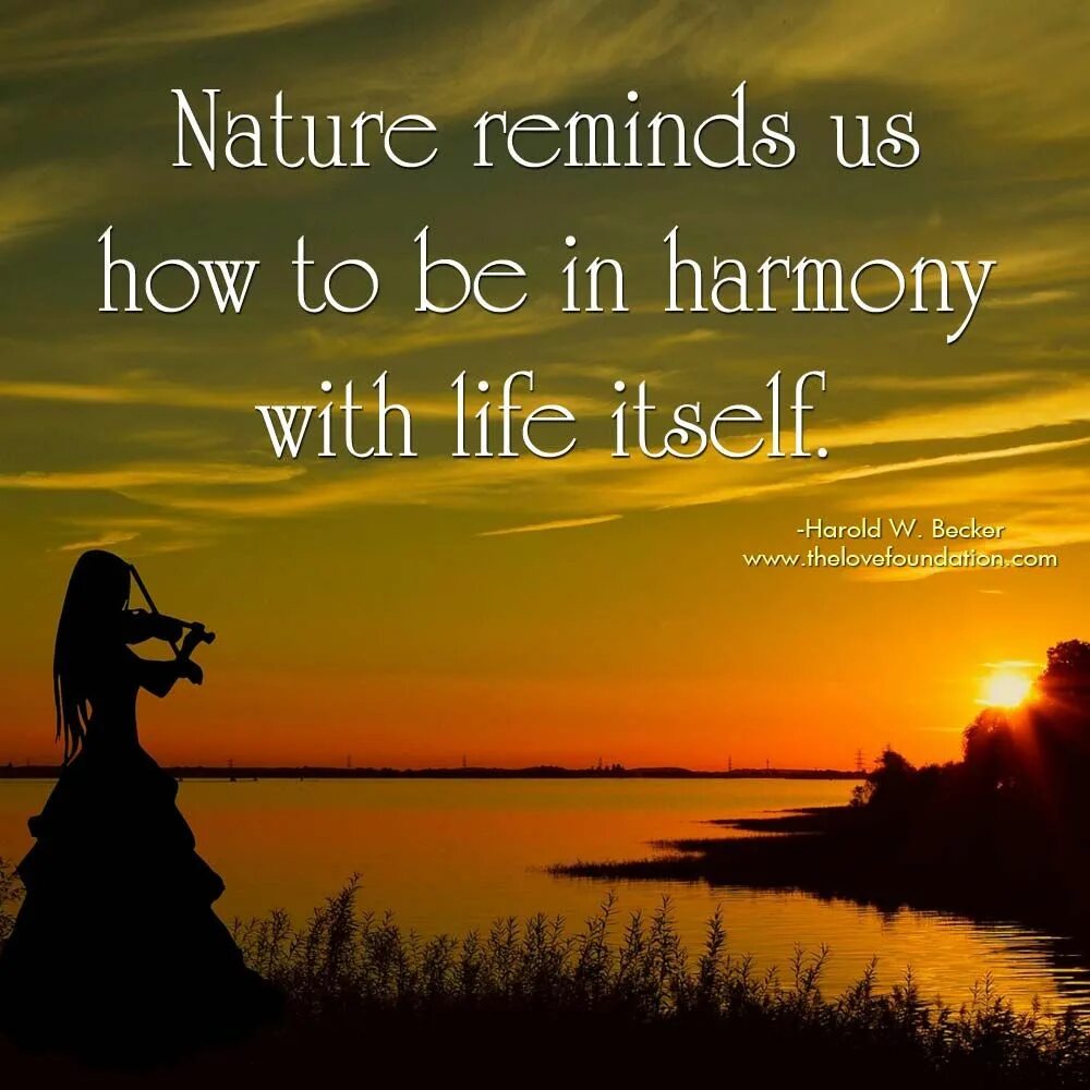 People lived in harmony with. Harmony quotes. Nature quotes. Harmony nature. Be in Harmony with the nature.