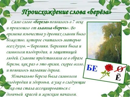Береза откуда название