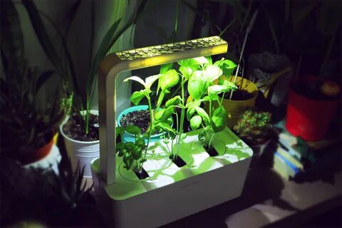 Умная камера растения