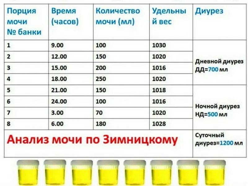 Сколько держится анализ мочи. Нормы показателей мочи по Зимницкому. Анализ мочи по Зимницкому показатели в норме. Анализ мочи по Зимницкому лабораторная посуда. Норма мочи по Зимницкому количество.