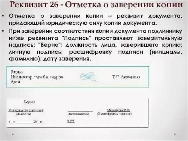 Приложения копии документов